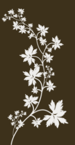 flower4